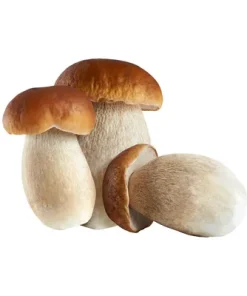 Golden Mushroom, Steinpilze, ganz, tiefgefroren, 1 kg Packung